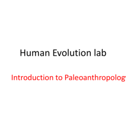 Dry lab evidence of evolution