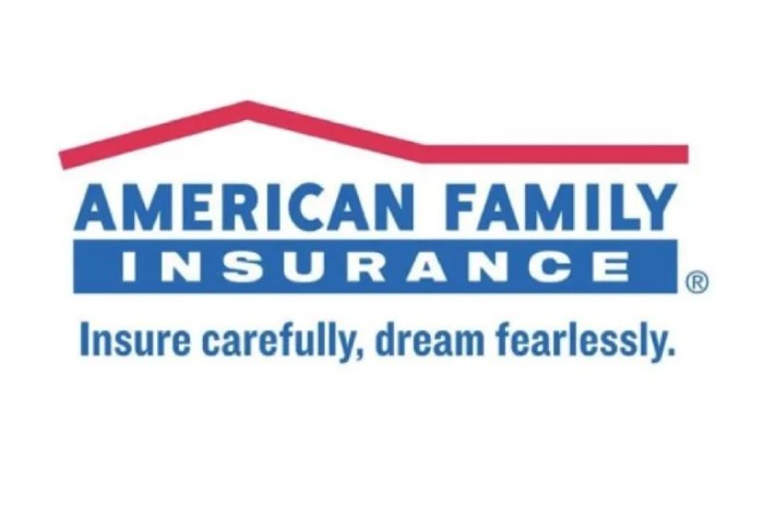 Breunig v. american family insurance co