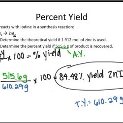 Limiting reagent percent yield worksheet