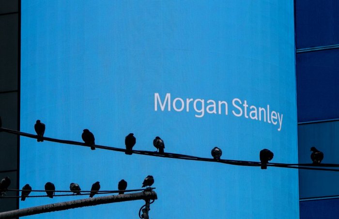 Freshman enhancement program morgan stanley