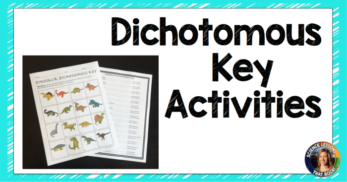 Dichotomous key worksheet answer key