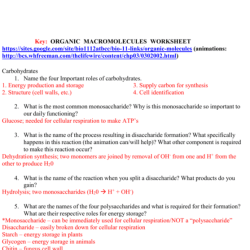 Dehydration synthesis and hydrolysis practice