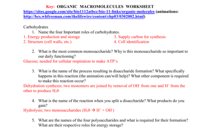 Dehydration synthesis and hydrolysis practice