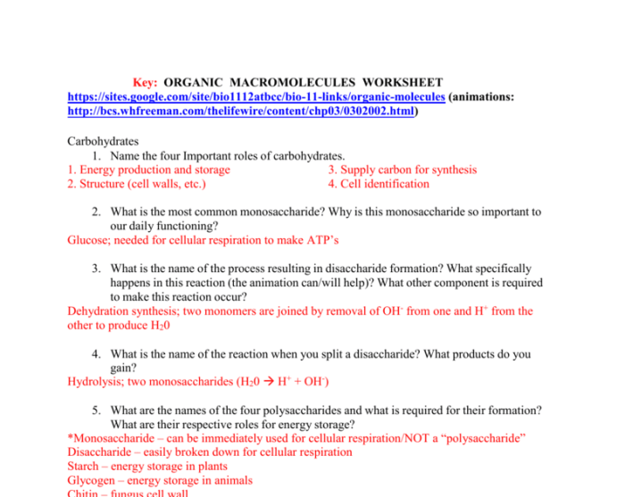 Dehydration synthesis and hydrolysis practice