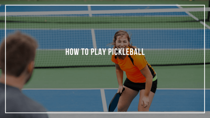 Pickleball owntheyard wiffle