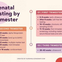 Rn maternal newborn teaching prenatal and newborn care