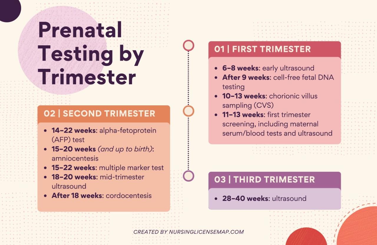 Rn maternal newborn teaching prenatal and newborn care