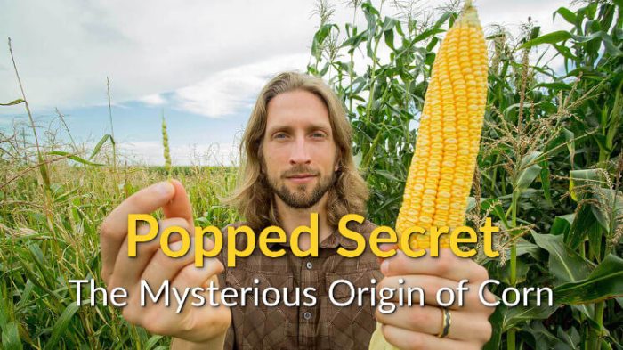 Popped secret: the mysterious origin of corn worksheet answers